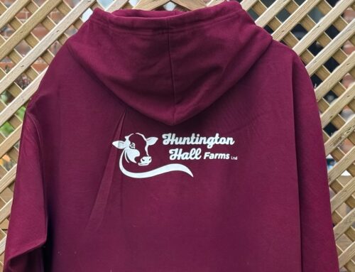 SWEATSHIRTS COM LOGOTIPO LISBOA